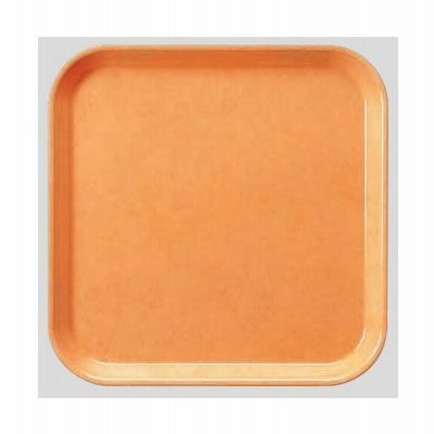 送料無料 Daiwa|プラスチック製|飲食店|食堂|施設|FRP 10点セット 正方トレー　ライトオレンジ(330×330×H20mm)　(台和)[AP-330-LO]