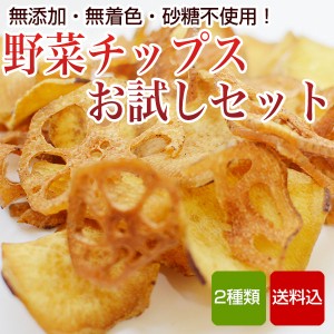 野菜チップス 2種入 お試しセット 無添加 砂糖不使用 DOCORE メール便