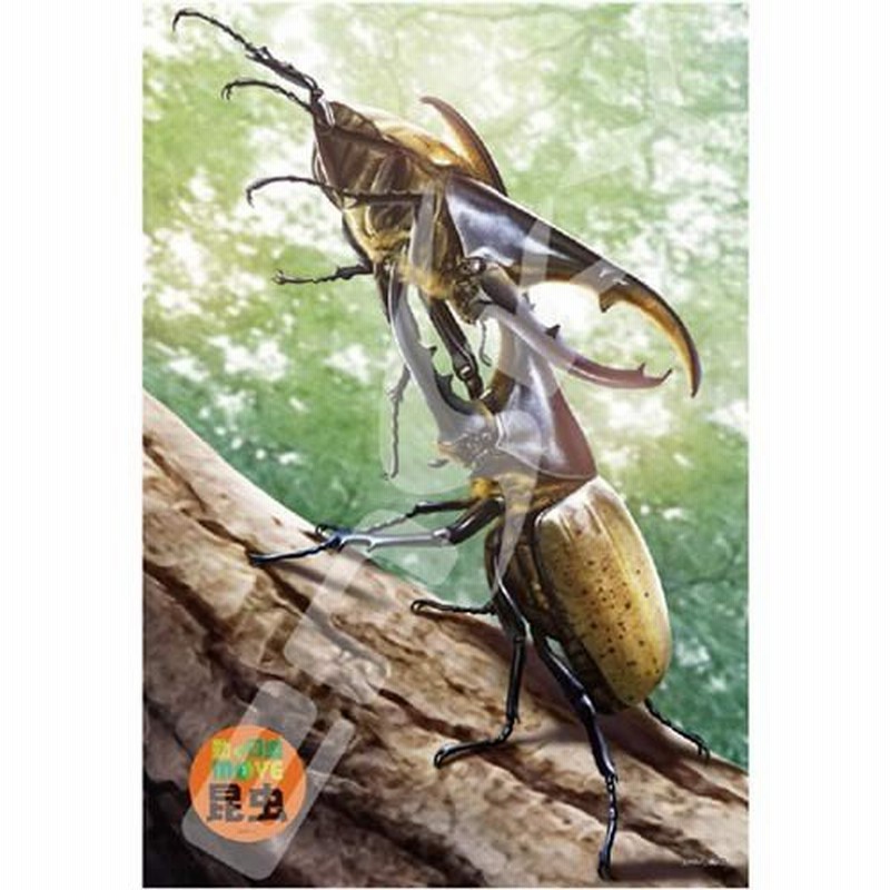 ジグソーパズル 108ラージピース 動く図鑑move 昆虫 ヘラクレスオオカブトの戦い 108 L598 通販 Lineポイント最大0 5 Get Lineショッピング