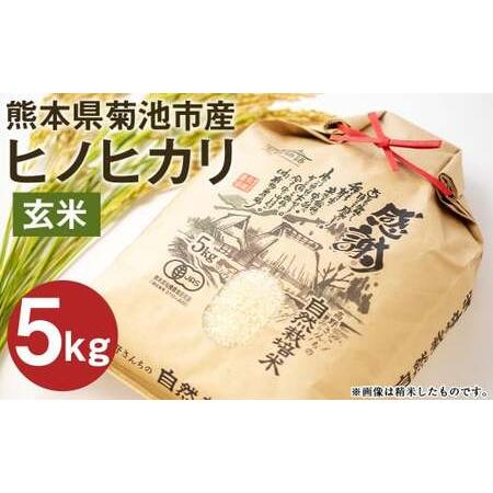 ふるさと納税 熊本県菊池産 ヒノヒカリ 玄米 5kg 七城物語 高野さんちの自然栽培米 熊本県菊池市