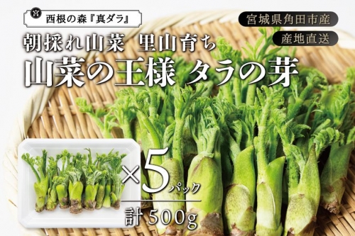 [宮城県角田市産]産地直送 朝採れ山菜　タラの芽　500g