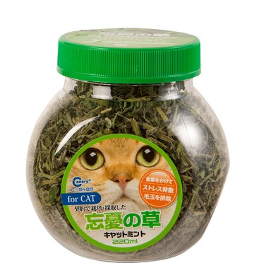Canary 正午嫩採 22g C-S420 天然草本 貓咪零食  貓薄荷  1入
