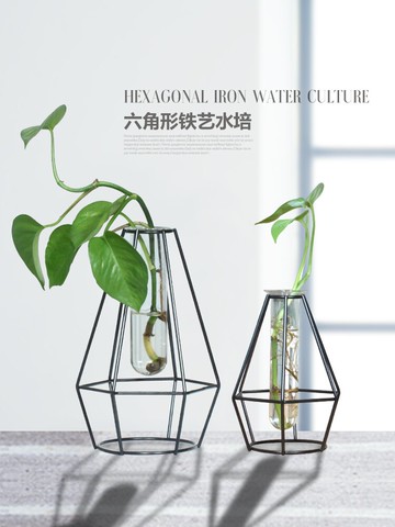 簡約幾何水培容器飄窗酒柜辦公桌擺件小清新綠蘿植物透明玻璃花瓶1入