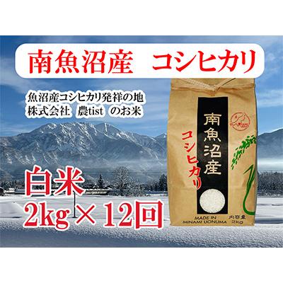 ふるさと納税 南魚沼市 南魚沼産 コシヒカリ 白米2kg 全12回