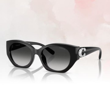 【COACH】方形膠框太陽眼鏡(HC8407U-50023C 52mm)