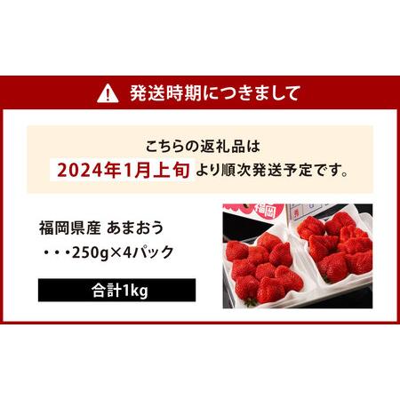 ふるさと納税  福岡県産 あまおう 計1kg (250g×4パック) 福岡県北九州市