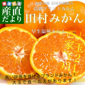 和歌山県より産地直送 田村出荷組合 田村みかん（早生温州みかん） ご家庭用 ２Lサイズ　5キロ(30玉前後) 送料無料 有田 柑橘