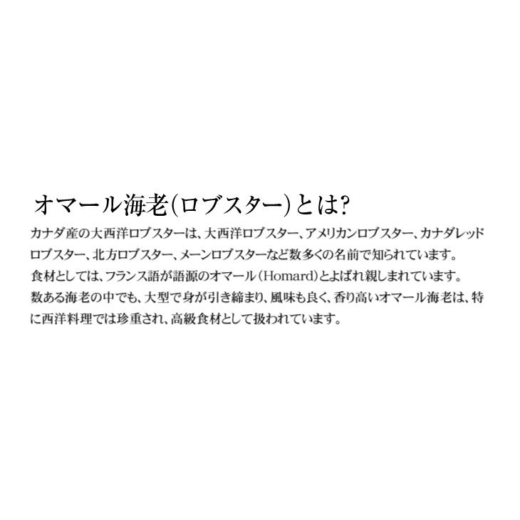 ボイルロブスター 1尾  冷凍便