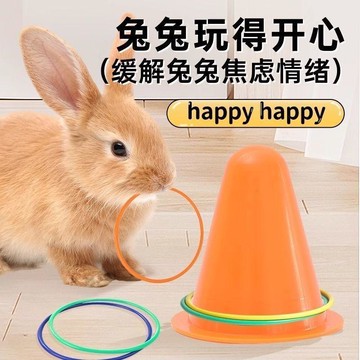 兔子套圈玩具兔兔解悶互動養寵物磨牙訓練益智自嗨雪糕筒必備用品