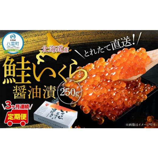 ふるさと納税 北海道 八雲町 北海道産 鮭いくら醤油漬　250g×3ヶ月連続発送 【 いくら醤油漬け いくら醤油漬 北海道 小分け 鮭 海産物 魚介類 水産…