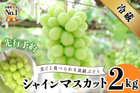 山梨県産シャインマスカット2kg(3～5房) フルーツ シャイン 山梨県産 シャインマスカット 2キロ 2kg 果物 フルーツ くだもの 果実 フルーツ王国 旬 フルーツ フルーツ 旬 山梨県 シャインマスカット フルーツ マスカット 果実 フルーツ 高級 くだもの 2024年 先行予約 シャインマスカット ぶどう 予約 山梨 シャインマスカット 富士吉田 3房 4房 5房 シャインマスカット 大粒 贈答 ギフト シャインマスカット