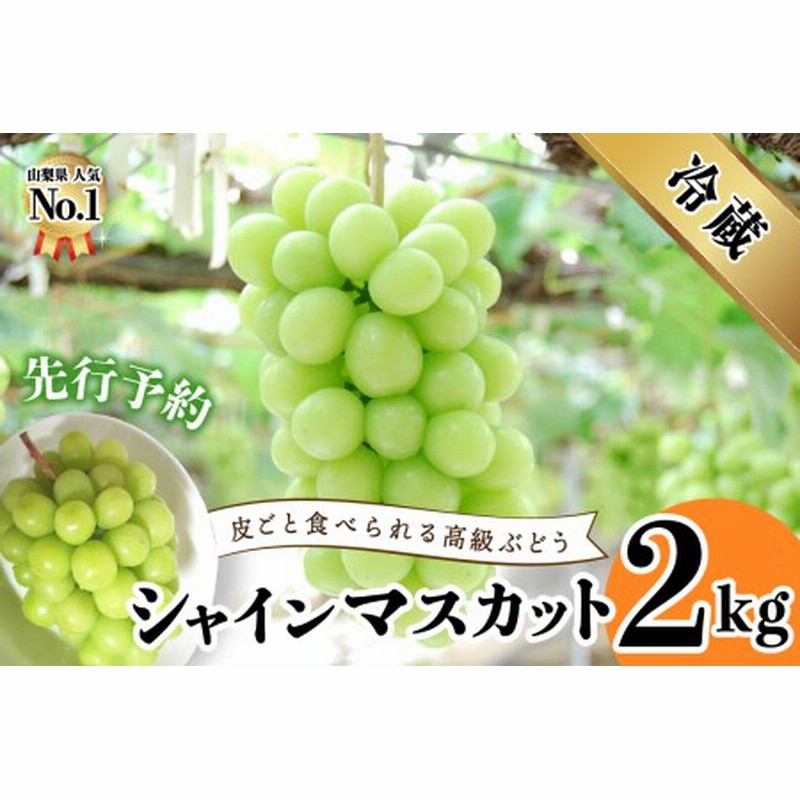 最も優遇の 特大 ナガノパープル 1房