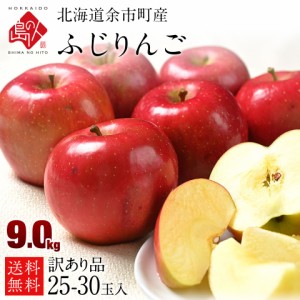 りんご リンゴ 北海道 余市産 25-30玉入り （訳あり品・品種：ふじ） 送料無料 取れたてをお届け 北海道 お土産 お取り寄せ ギフトプレゼ