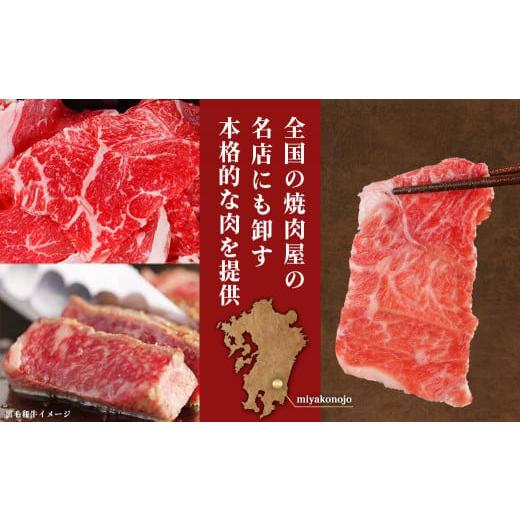 ふるさと納税 宮崎県 都城市 切り落とし1.5kg(250g×6パック)_MJ-I903_(都城市) 牛肉 国産黒毛和牛 外モモ ウデ マル バラ モモ ブリスケ 切り落…