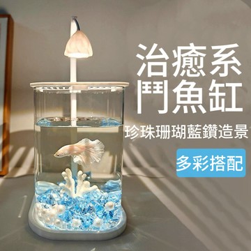 🚚台灣出貨🚚桌面迷你魚缸 鬥魚魚缸 玻璃魚缸 魚缸燈 小魚缸 水族箱 魚缸造景 袖珍魚缸換水魚缸 迷你 鬥藝水族