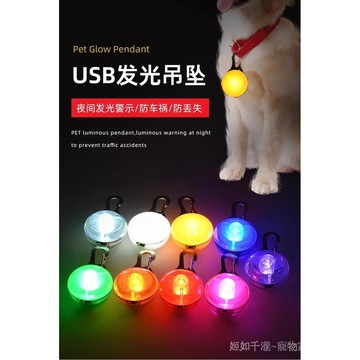 夜晚寵物燈防丟髮光項圈伴侶遛狗燈貓醒目燈可找迴脖套胸背燈吊墜