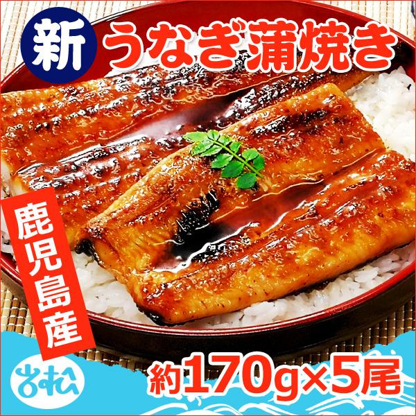 鹿児島産 新 国産 うなぎ蒲焼き 約170g×5尾 送料無料 お取り寄せグルメ 海鮮 プレゼント グルメ ギフト