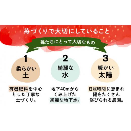 ふるさと納税 福岡県 豊前市 爽やか春あまおう約285g×4パック 《豊前市》?【北海道…