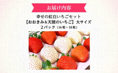 宮崎県産 イチゴ 幸せの紅白いちごセット おおきみ天使のいちご 大サイズ2パック(16粒～18粒程度) いちご 苺 果物 期間・数量限定