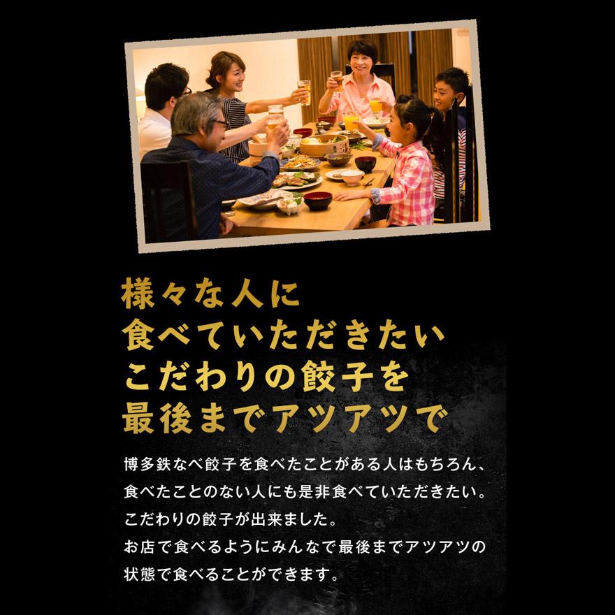 博多 餃子 鉄なべ ぎょうざ ギョ ウザ 鉄なべ餃子 鉄鍋餃子 ひと 口餃子 ギフト 贈り物 冷凍餃子 おかず お惣菜 お取り寄せ 福岡 人気 国産