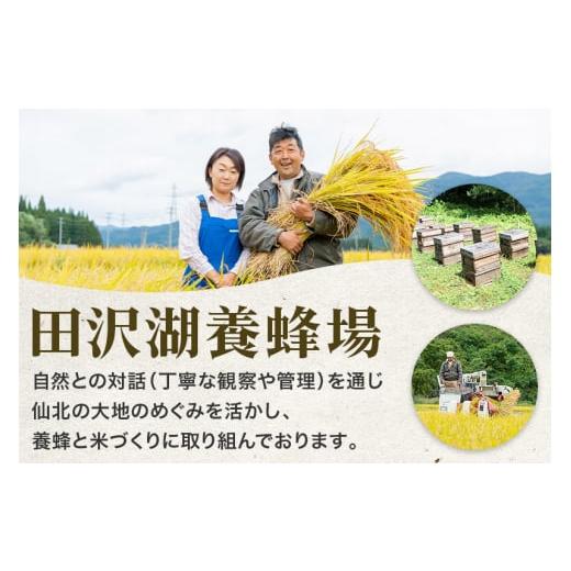 ふるさと納税 秋田県 仙北市 秋田県産 あきたこまち 30kg 新米 令和5