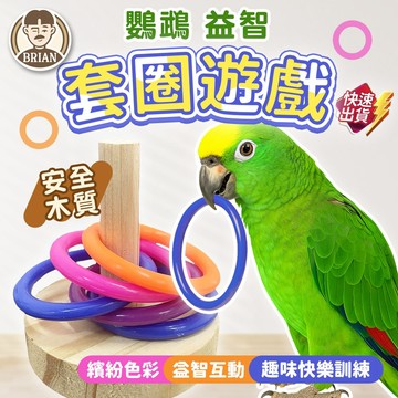 鸚鵡益智套圈遊戲【布萊恩👨🏻隔日到貨】小寵玩具 鳥類玩具 套圈益智玩具 鳥籠布景 鼠籠布景 鸚鵡訓練玩具 小寵解悶玩具