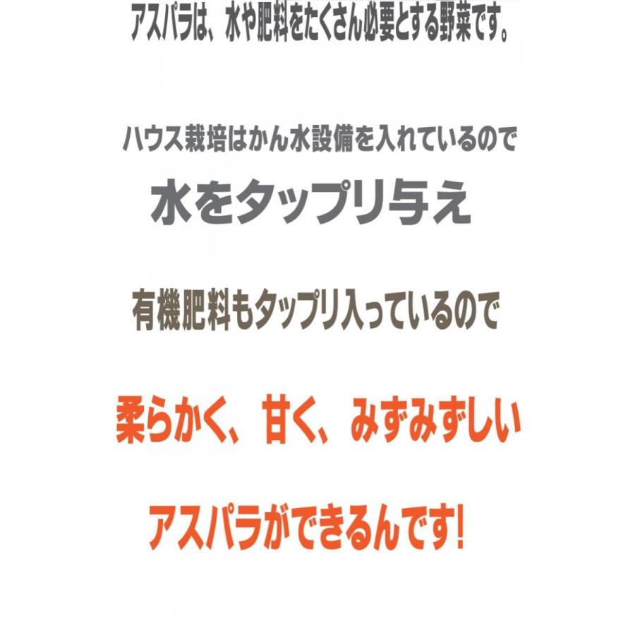 アスパラガス 送料無料 北海道 富良野産 ハウス栽培 グリーン Mサイズ 500g 4月上旬から5月上旬配送