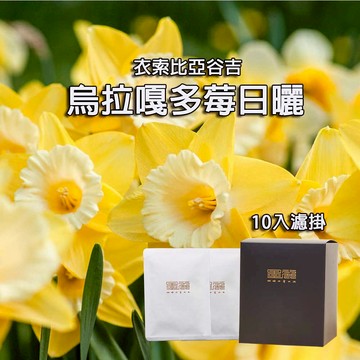 【衣索比亞谷吉烏拉嘎多莓處理廠日曬咖啡 (淺焙)】