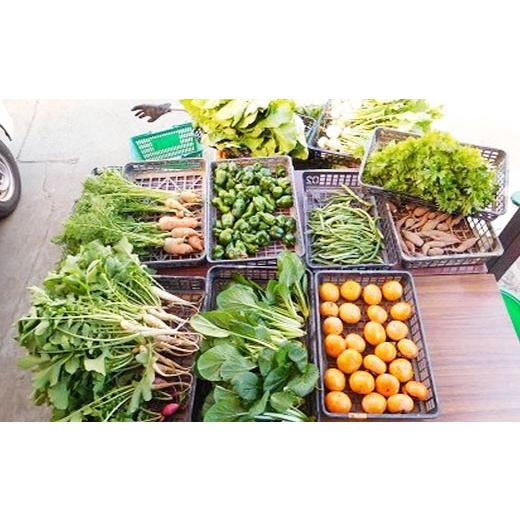 ふるさと納税 埼玉県 鴻巣市 ガバレ農場の季節の有機野菜詰め合わせセット