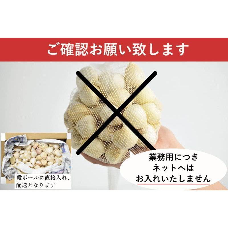 にんにく 青森県産 バラ ニンニク 青森ニンニク通販 生産者直送 青森県産にんにく グルメ通り SHOP 3kg 津軽にんにく 業務用