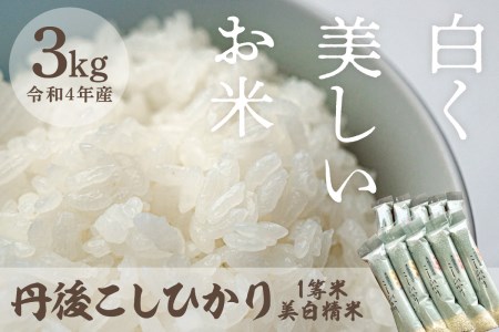 令和5年産 新米 美白精米 丹後こしひかり 3kg(2合×10) 1等米