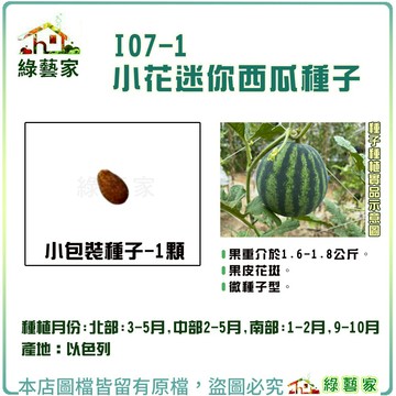 【綠藝家】I07-1.小花迷你西瓜種子1顆 F1 春夏初秋 果重介於1.6-1.8公斤 果皮花斑 微種子型