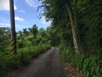 *專售*萬榮支亞干段低總價原保山坡林業農地袋地｜花蓮縣萬榮鄉支亞干段