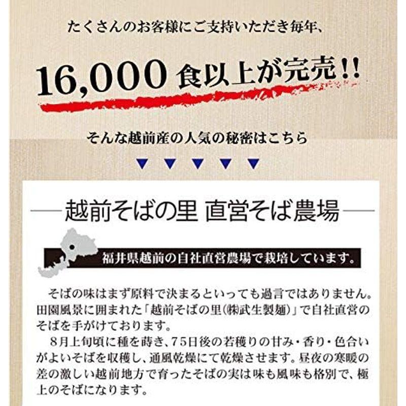 福井県産そば粉使用旨み・甘みが断然違う「越前産10食(TN)」 越前そば お中元 お歳暮