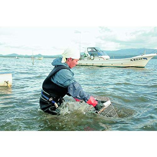 しじみ シジミ 蜆 十三湖産 200ｇ×5パック　合計1kg 味噌汁やお吸い物に最適