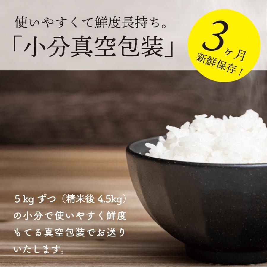 新米出荷開始！ 令和5年産ミルキープリンセス 20kg送料無料 真空パック5kg×4袋