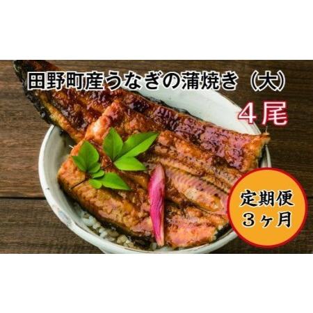 ふるさと納税 　田野町産うなぎの蒲焼き（大）　４尾　〈定期便：３ヶ月〉　※冷凍※ 高知県田野町