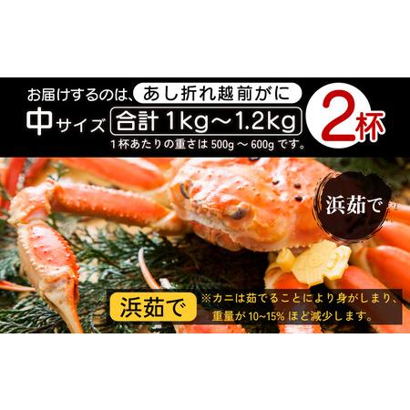 ふるさと納税 足折れ 越前がに 中サイズ × 2杯（1杯500〜600g）地元で喜ばれるゆで加減・塩加減で越前の港から直送！【雄 ズワイ.. 福井県越前町