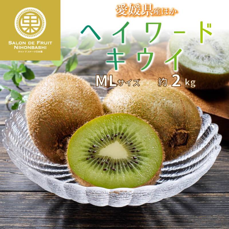 [予約 11月10日-12月31日の納品]   ヘイワードキウイ 約2kg MLサイズ 愛媛県産 他 果物専用箱