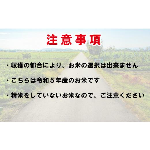 ふるさと納税 徳島県 阿波市  こしひかり ひのひかり 新米 玄米 5kg ブランド米 糖質制限 農家直送 令和5年産