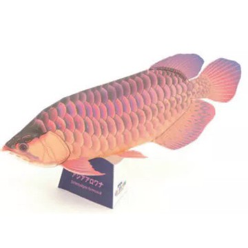 【🌸免運｜當日出貨✈️隔日到🌸】紙紮寵物 紅龍魚（化給親人與寵物皆可用）寵物金紙 紙紮魚 紙紮屋 元寶 庫錢 蓮花