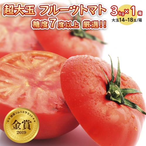  超大玉 フルーツトマト 大箱 約2.8kg × 1箱  糖度7度 以上 野菜 フルーツトマト フルーツ トマト とまと [AF008ci]