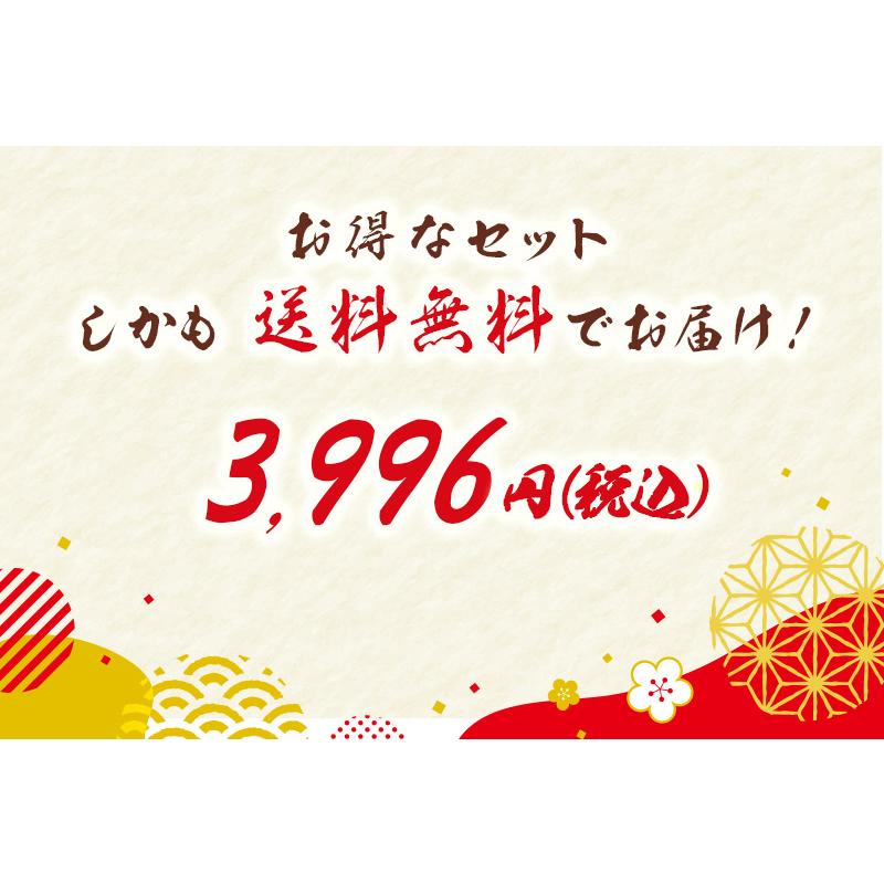 信州五割半生そば１０食セット    送料無料 五割半生そば 小分け 常温保存   お歳暮 御歳暮 冬ギフト （北海道・沖縄別途送料）