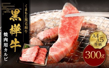 くまもと黒毛和牛 杉本本店 黒樺牛 A4~A5等級 焼肉用カルビ 300g