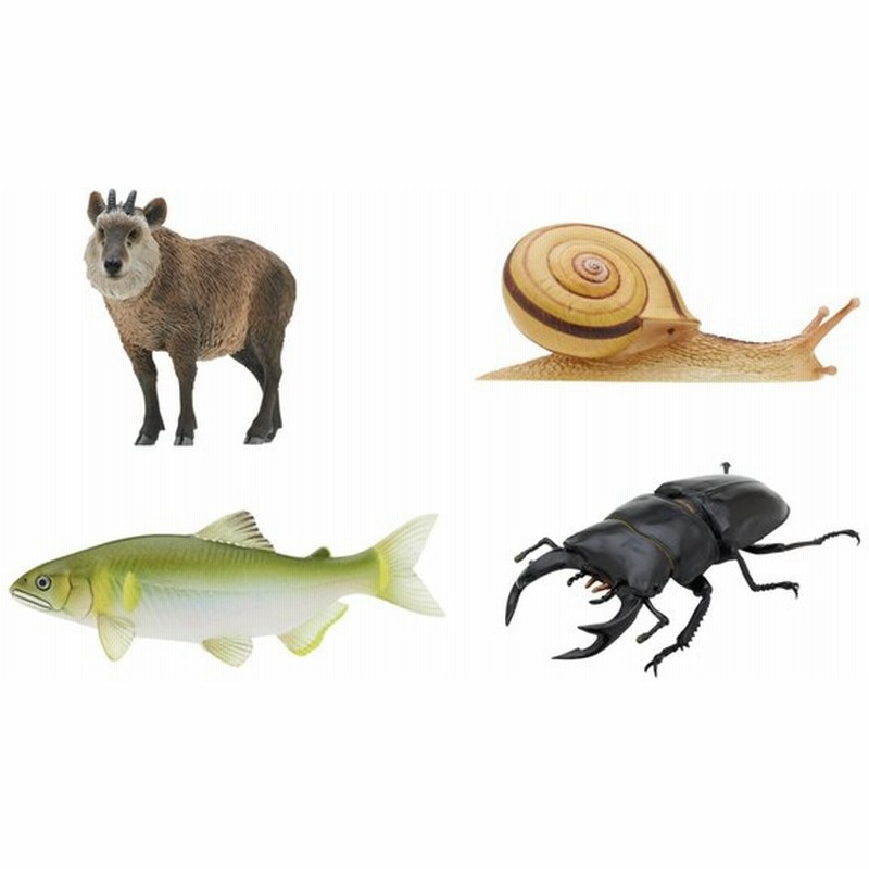 輝い ☆Jvi29Ftネイチャーテクニカラー日本のいきもの02全10種 その他