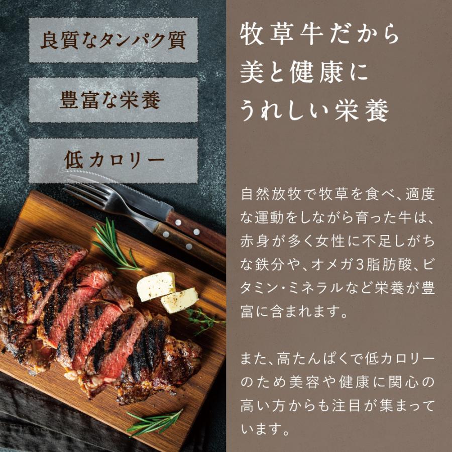 リブロースステーキ 合計300g (150g×2枚) 純日本産 グラスフェッドビーフ 国産 黒毛和牛 赤身 牛肉 焼き肉 BBQ お歳暮 ギフト