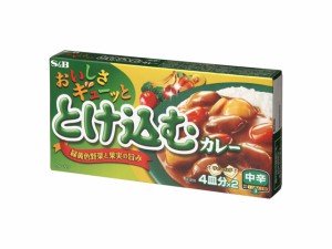  エスビー おいしさギューッととけ込カレー中辛 140g ｘ10 個_3セット