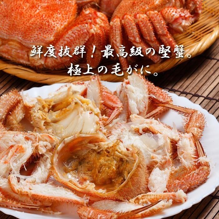 カニ かに 蟹 毛ガニ 毛蟹 3尾 北海道産 570g×3匹セット けがに 毛がに 特大 国産 送料無料 お歳暮 ギフト 高級 海鮮