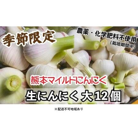 ふるさと納税 にんにく 2024年 発送 大玉 12個 錦町産 農薬・化学肥料 栽培期間中不使用！ 桑原農園 熊本 マイルド生にんにく 2Lサイズ 7cm以上 配.. 熊本県錦町