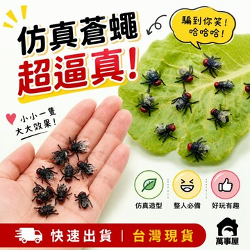 假蒼蠅 仿真蒼蠅 整人道具 惡作劇道具 假蒼蠅綠大蒼蠅 萬聖節 愚人節 玩具配件塑膠昆蟲 模擬蒼蠅 A0283
